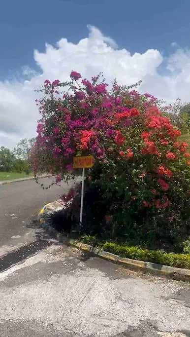 Lulu Bell Mystic Ridge @73 Apartment. Ocho Rios 0*,  Jamaica
